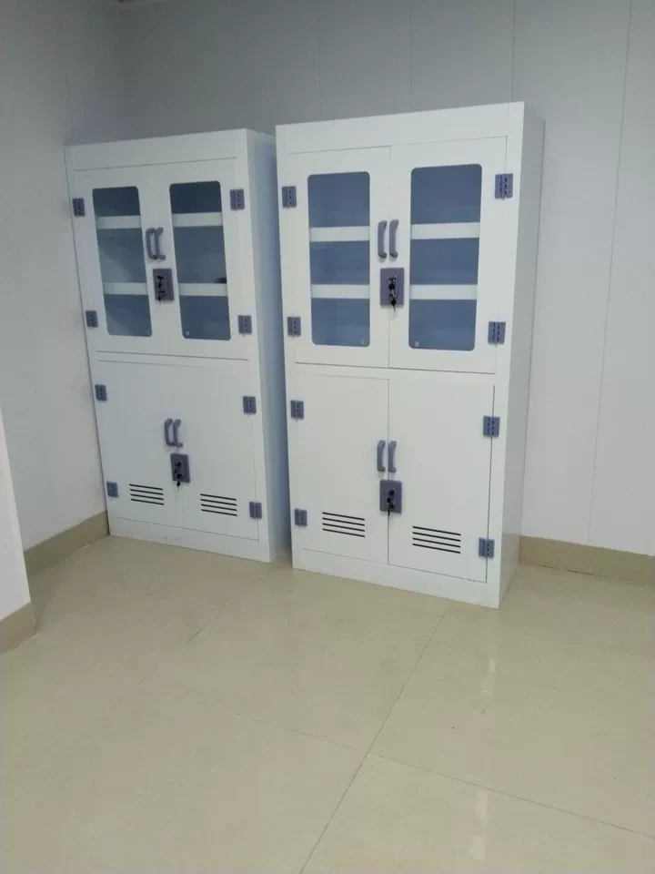 Polypropylene Lab Glassware Vessel Storage Cabinet with Perforated Shelves Polypropylene Lab Glassware Vessel Storage Cabinet with Perforated Shelves